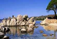 比赛开始，人挤人，场上火药味弥漫——热血现场，谁能笑到最后